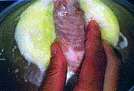 ���֓����I